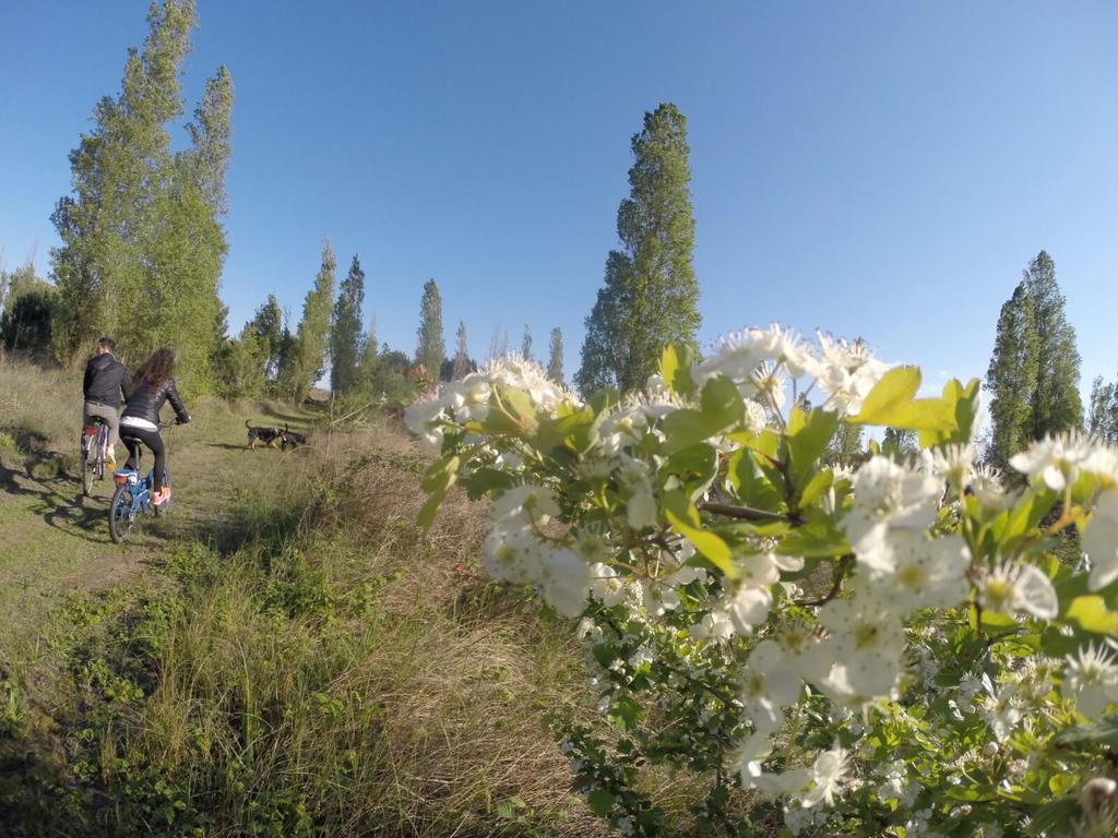 Eureka Azienda Agrituristica Cavallino-Treporti Exteriör bild